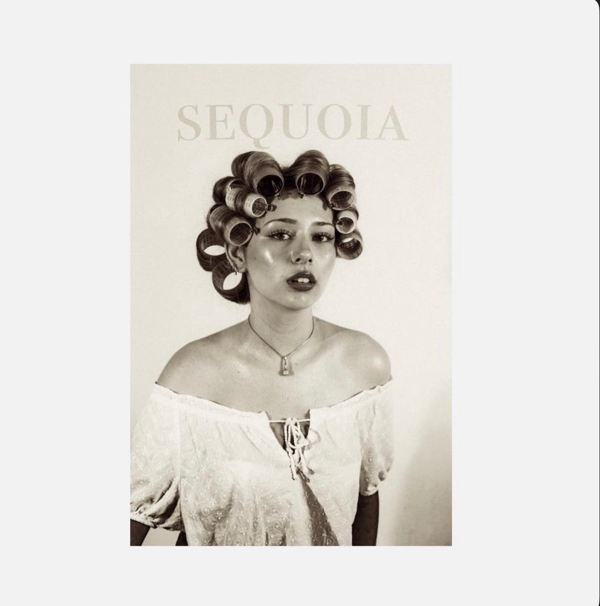 Signed SEQUOIA Poster
